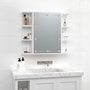 Voir la diapositive 4 : VIDAXL Armoire a miroir avec LED Blanc 70x16,5x60 cm