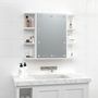 Voir la diapositive 4 : VIDAXL Armoire a miroir avec LED Blanc 70x16,5x60 cm