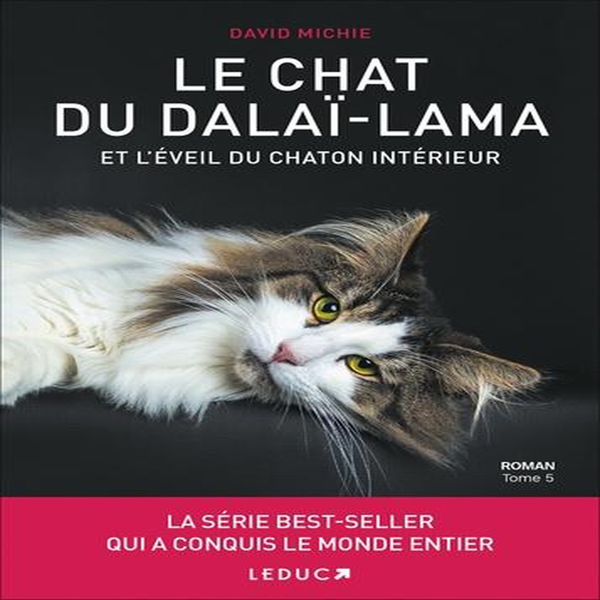 LE CHAT DU DALAI-LAMA TOME 5 : LE CHAT DU DALAI-LAMA ET L'EVEIL DU CHATON INTERIEUR, Michie David