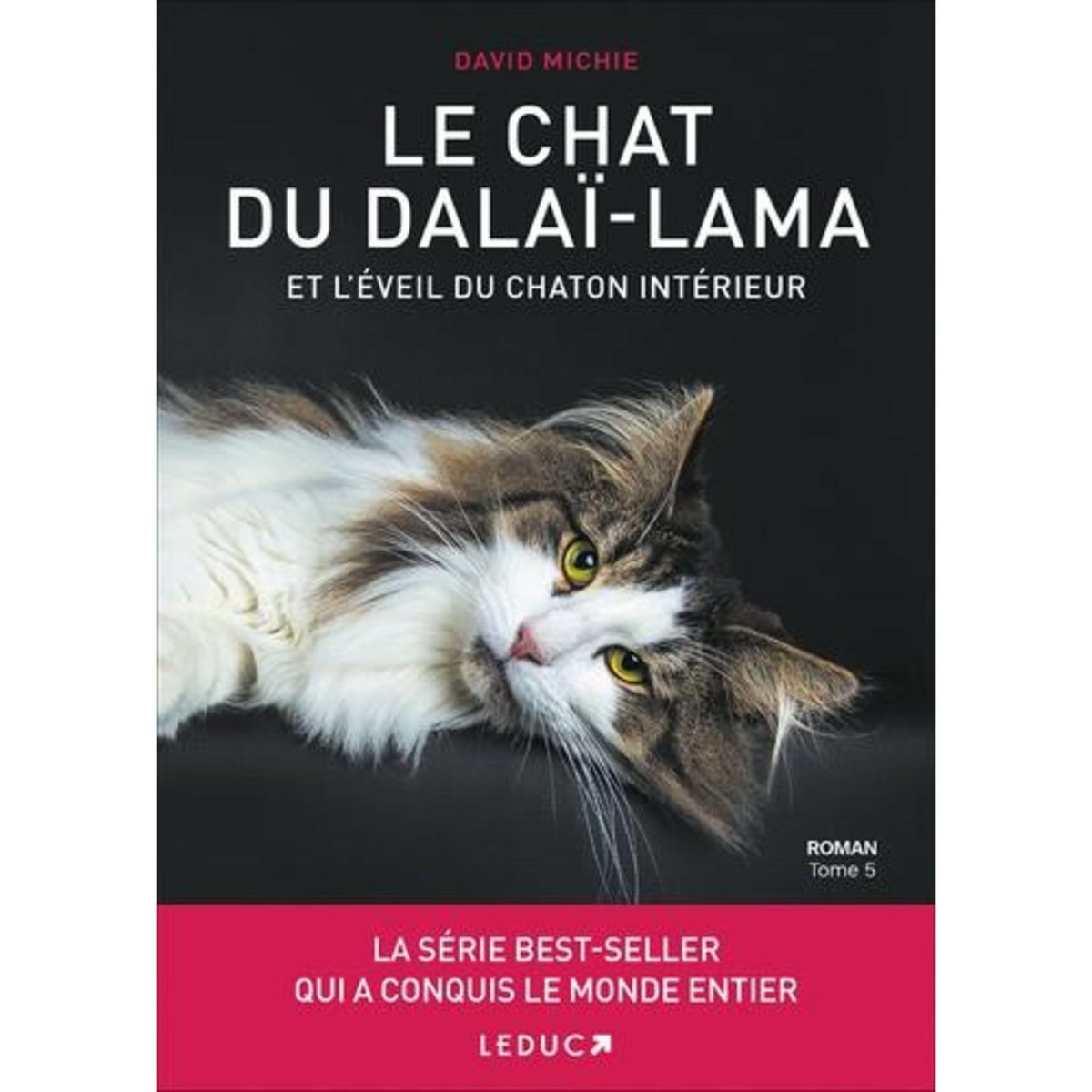 LE CHAT DU DALAI-LAMA TOME 5 : LE CHAT DU DALAI-LAMA ET L'EVEIL DU CHATON INTERIEUR, Michie David