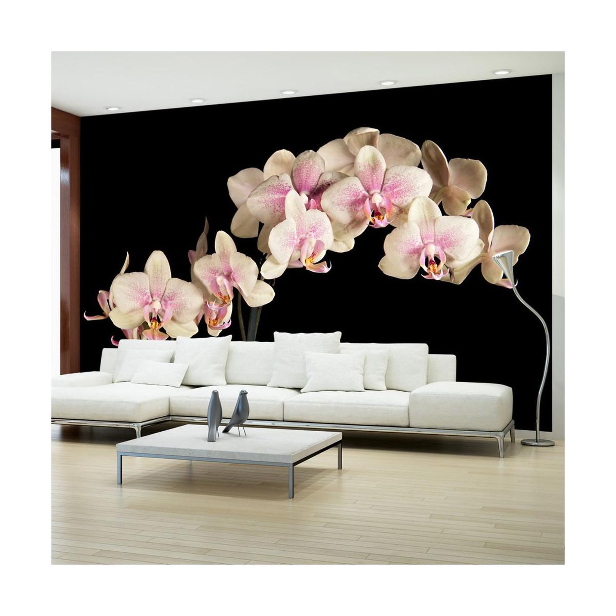 Paris Prix Papier peint  orchidée en fleurs ii  450x270cm