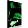 Voir la diapositive 1 : Paris Prix Tableau Imprimé  Plant in Black