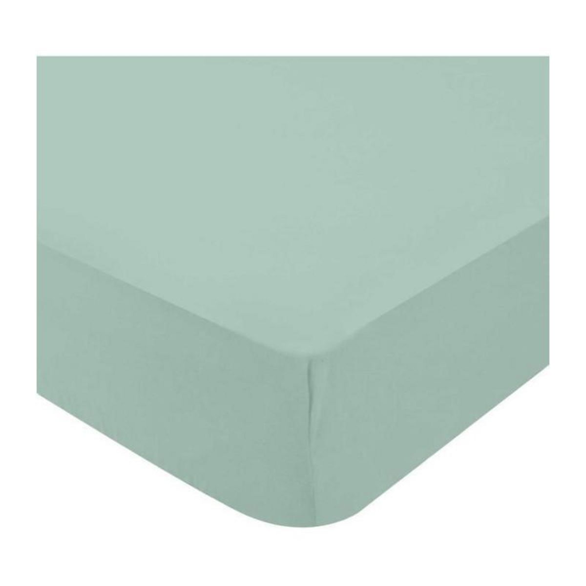 DOMIVA DOMIVA Lot 2 Draps housse Uni - Jersey - oeko-Tex - Blanc/Vert de gris - 60 x 120 cm