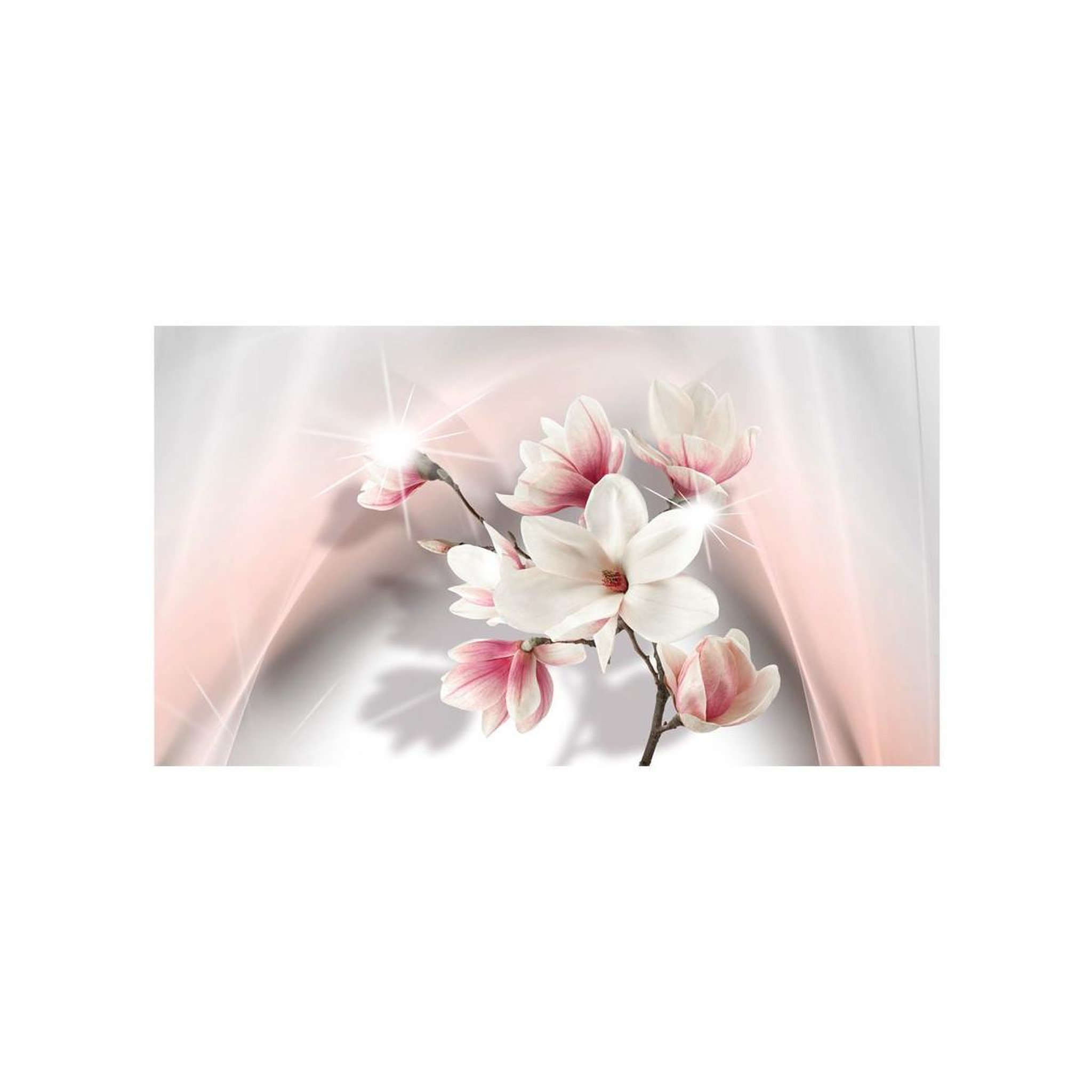 Voir la diapositive 2 : Paris Prix Papier peint xxl  white magnolias ii  280x500cm