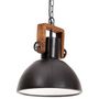 Voir la diapositive 2 : VIDAXL Lampe suspendue industrielle 25 W Noir Rond 30 cm E27