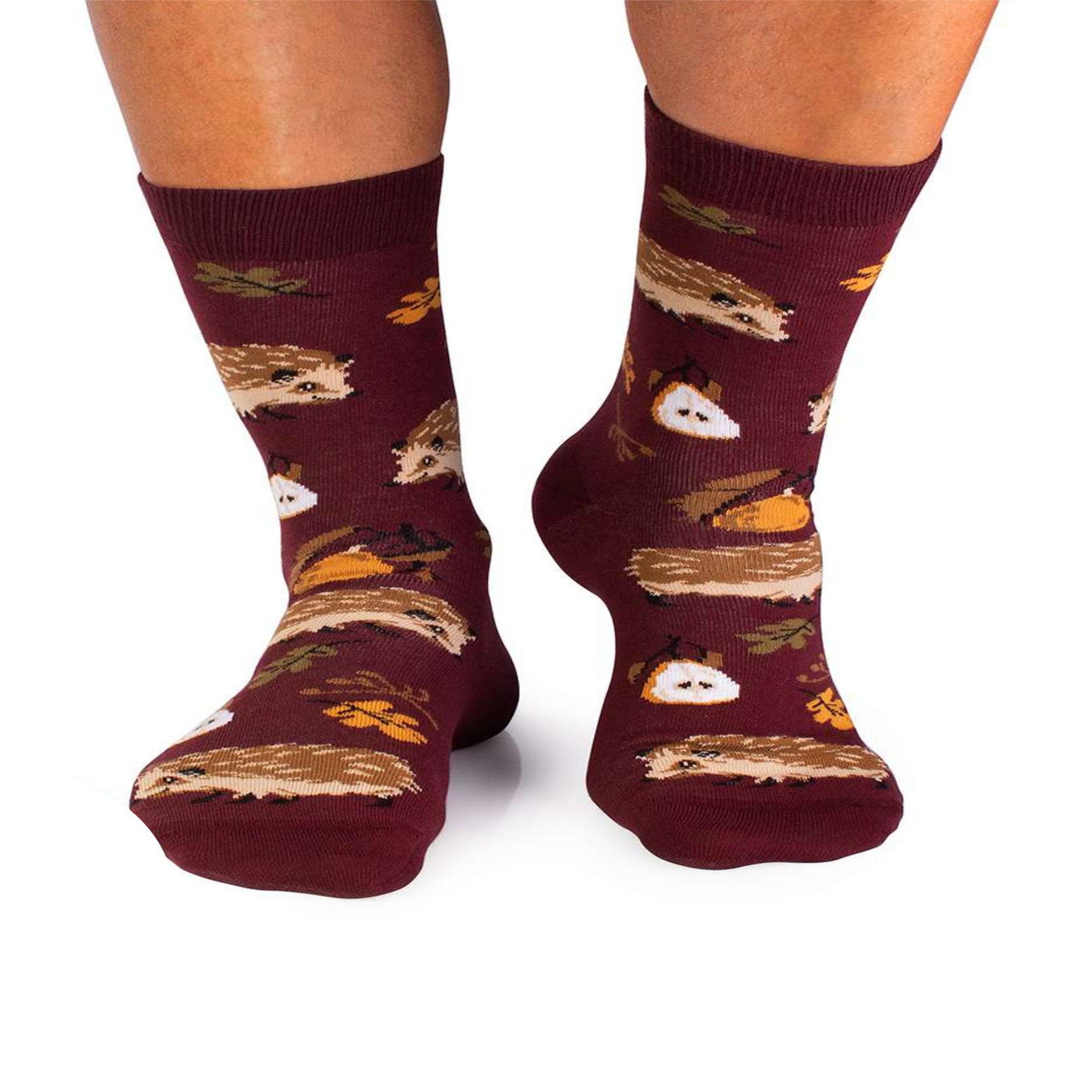 Voir la diapositive 3 : PIRIN HILL Chaussettes coton bio automne hérissons