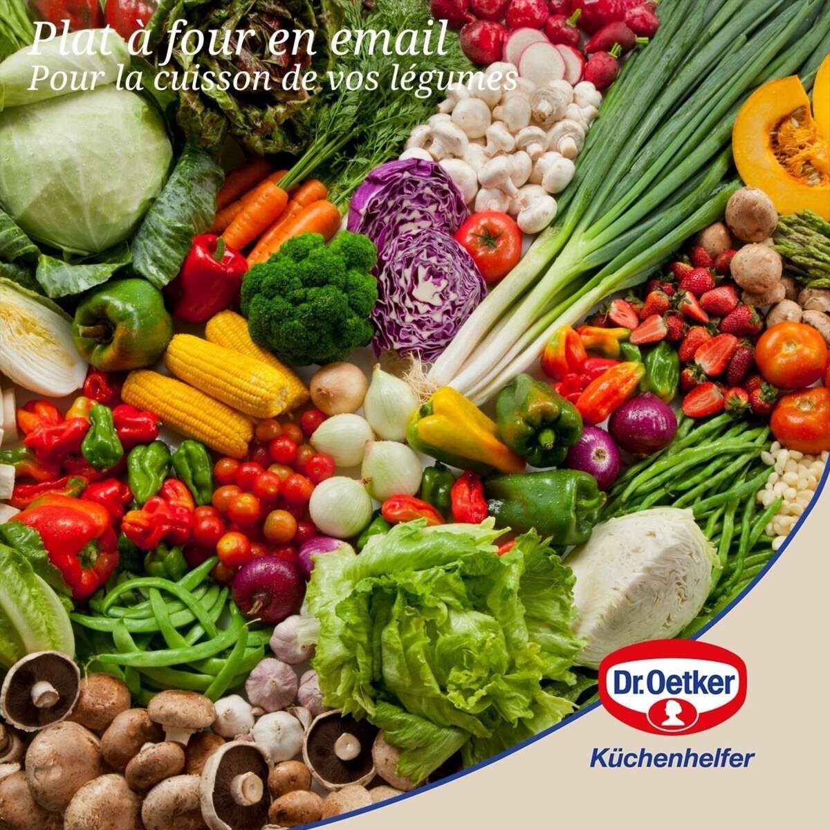 DR.OETKER Ensemble de 2 Plats à four avec couvercle en acier émaillé 42 x 34 cm Dr. Oetker Back-Idee Kreativ