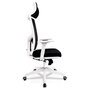 Voir la diapositive 3 : Paris Prix Fauteuil de Bureau Design  Luky  119cm Noir & Blanc
