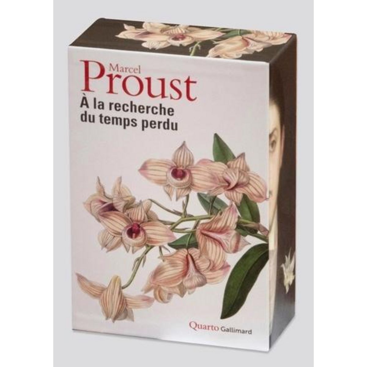 A LA RECHERCHE DU TEMPS PERDU, Proust Marcel