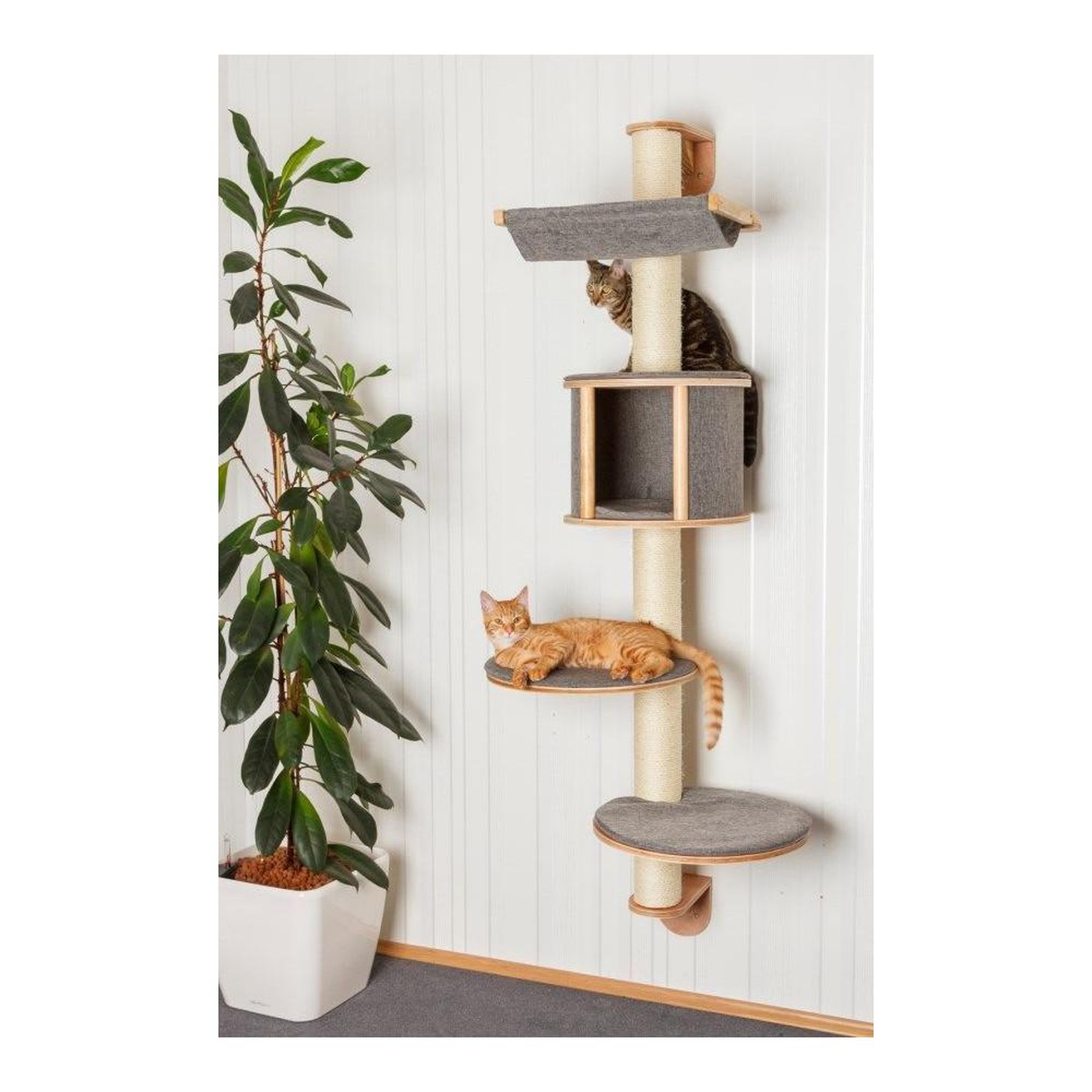 Voir la diapositive 2 : KERBL Arbre a chat mural - H. 168 cm - Dolomit Tofana - KERBL - Gris