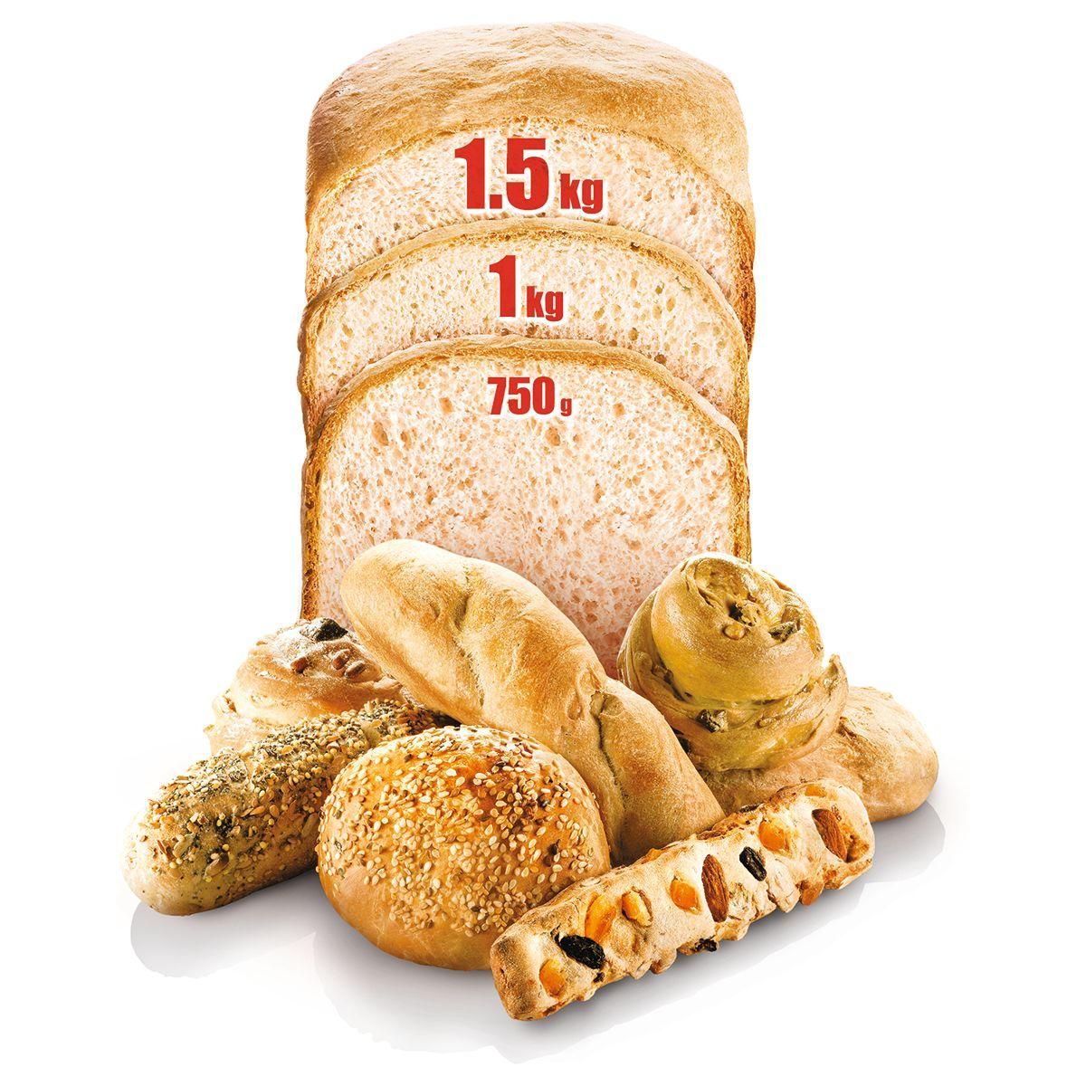 MOULINEX Machine à pain pains du monde OW611810