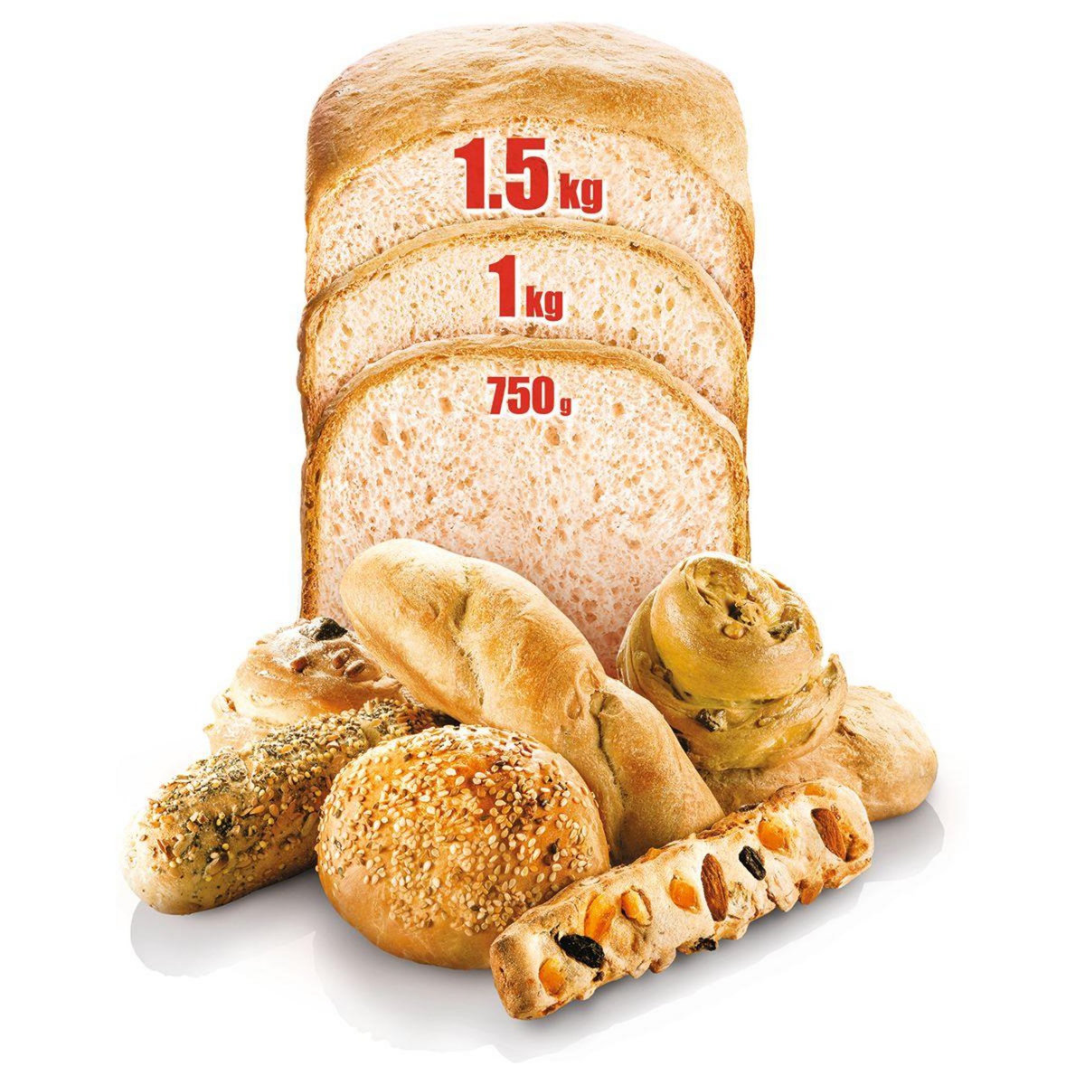 MOULINEX Machine à pain pains du monde OW611810