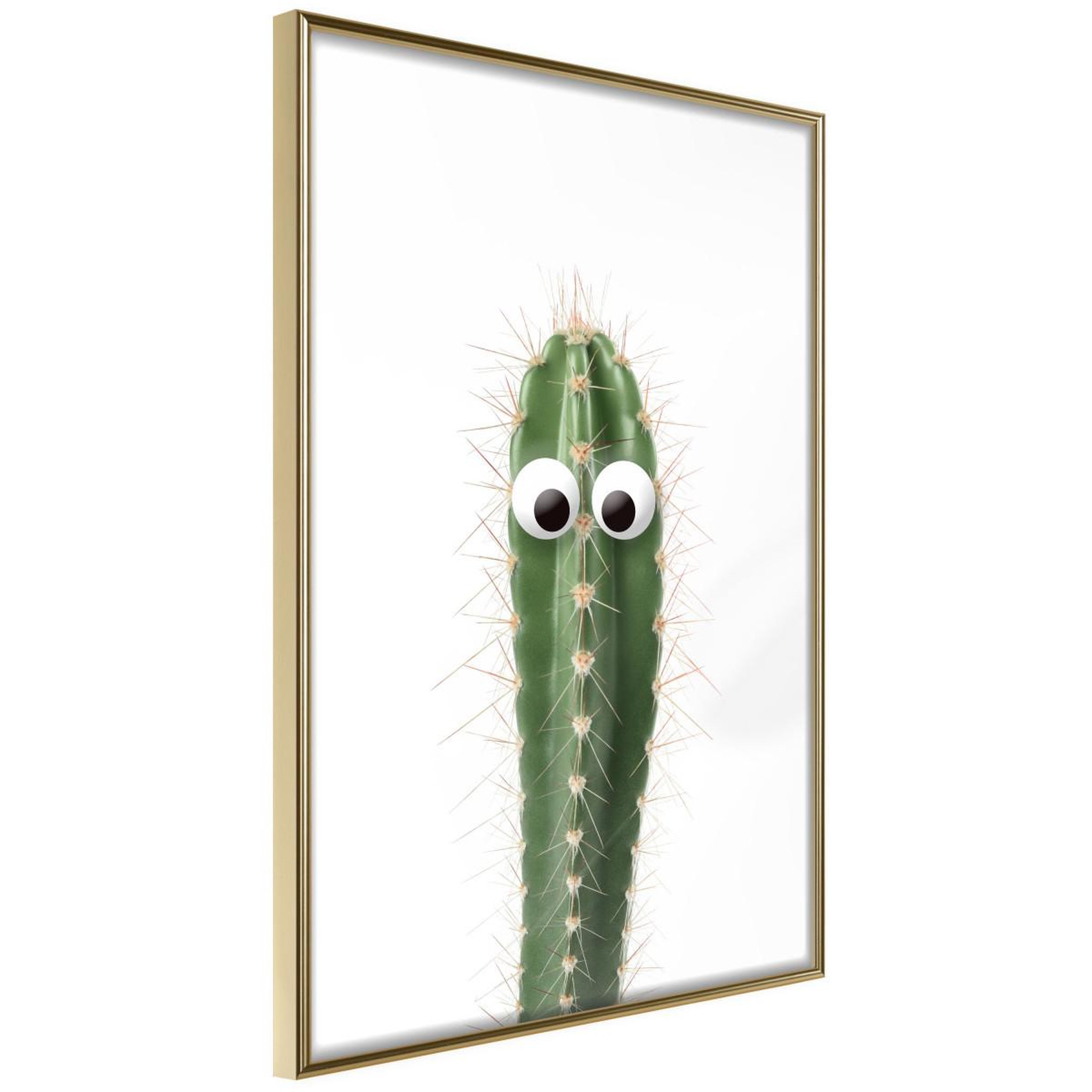 Paris Prix Affiche murale encadrée  funny cactus i