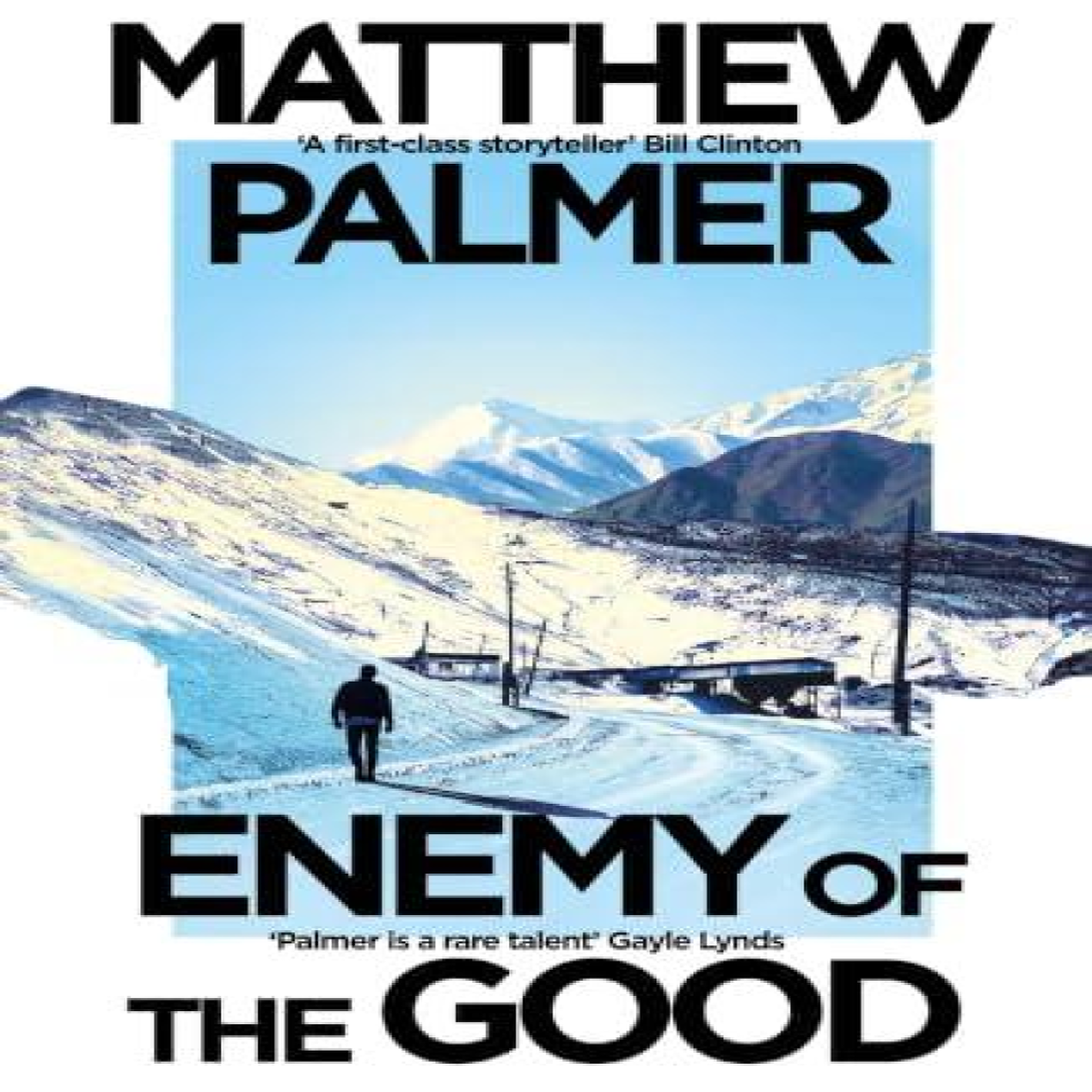 LIVRES Enemy of the Good - Matthew Palmer