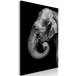 Paris Prix Tableau Imprimé  Portrait of Elephant. Coloris disponibles : Multicolore