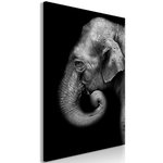 Paris Prix Tableau Imprimé  Portrait of Elephant. Coloris disponibles : Multicolore