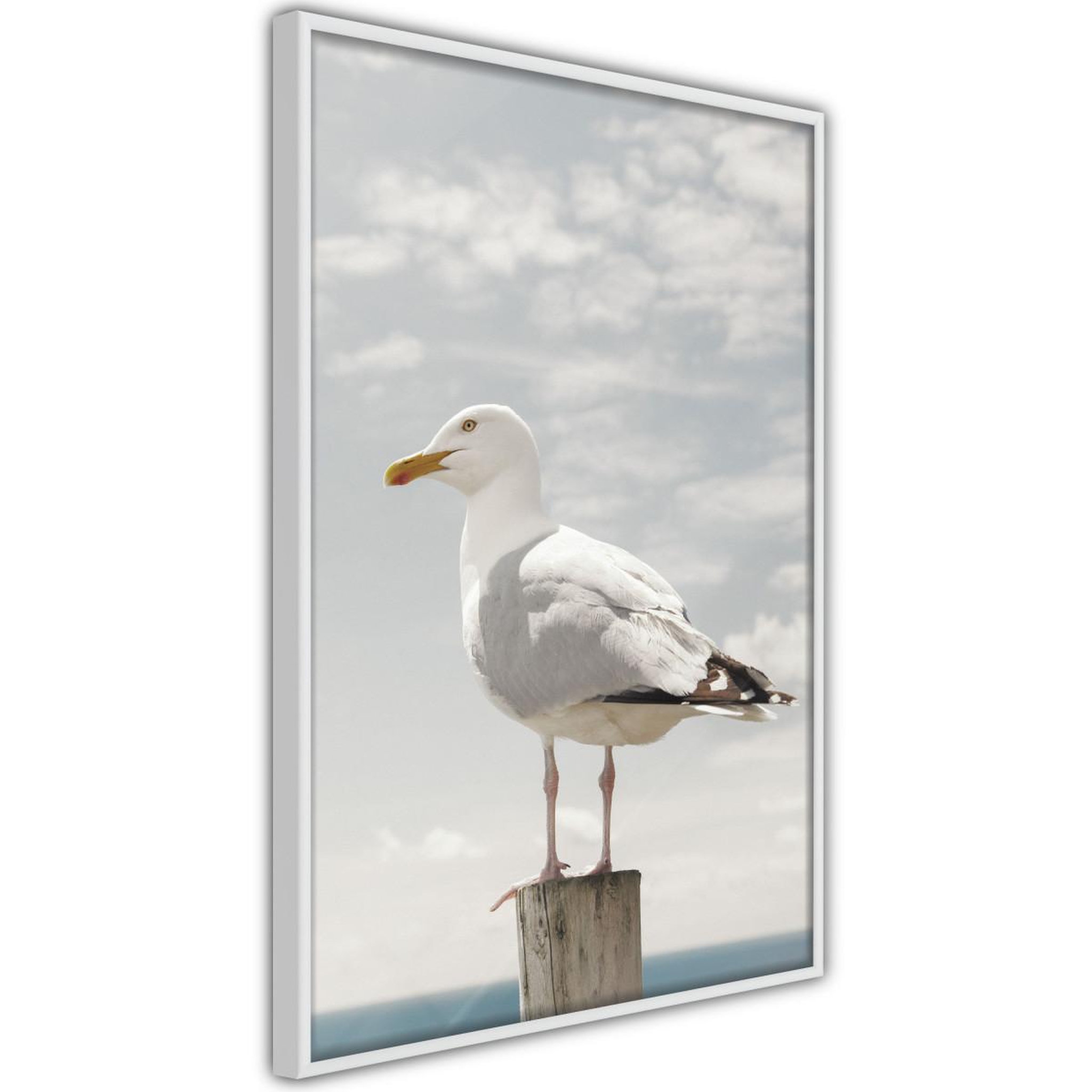 Paris Prix Affiche murale encadrée  curious seagull