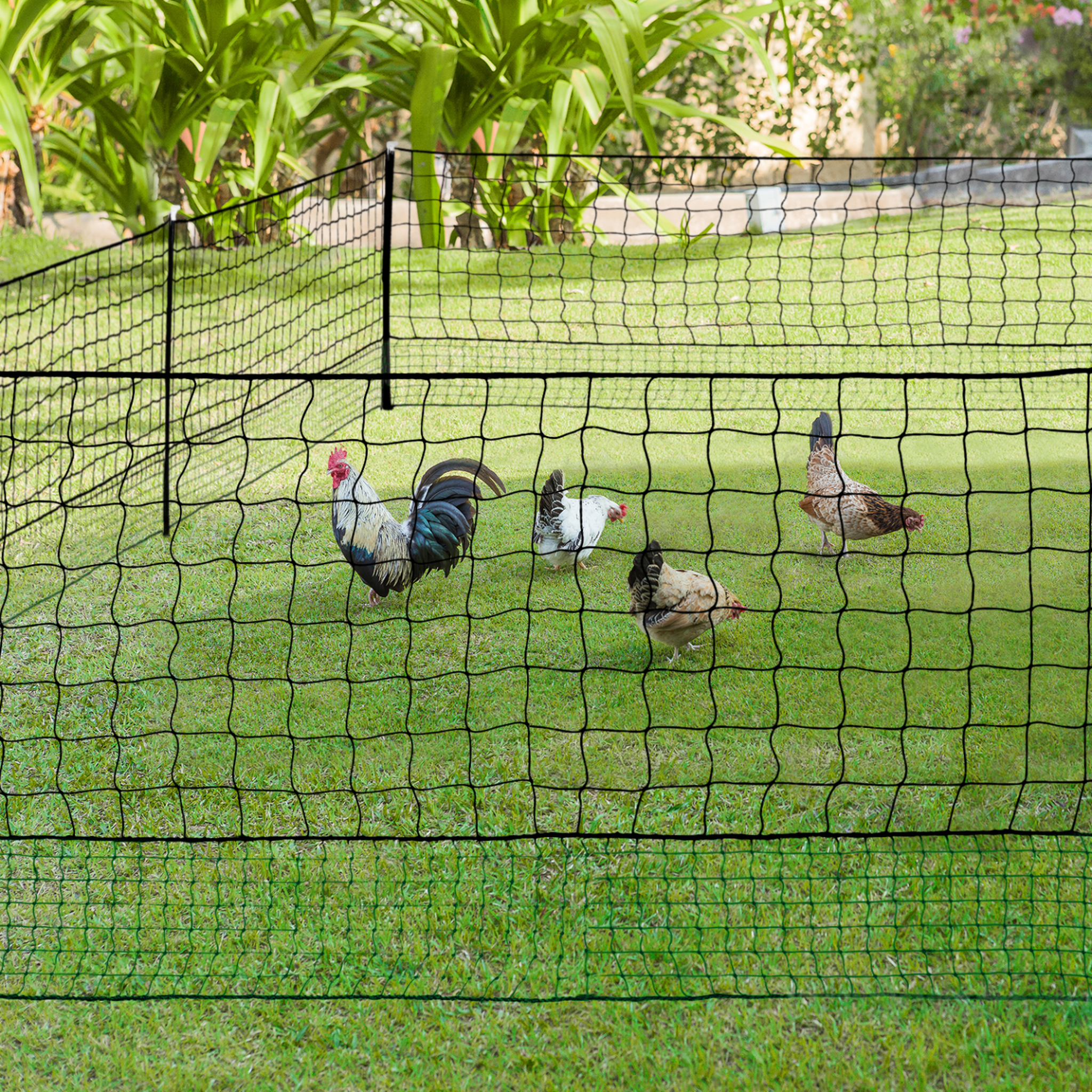 Voir la diapositive 2 : ID MARKET Kit clôture filet à poules 24 m avec porte 9 piquets double pointe