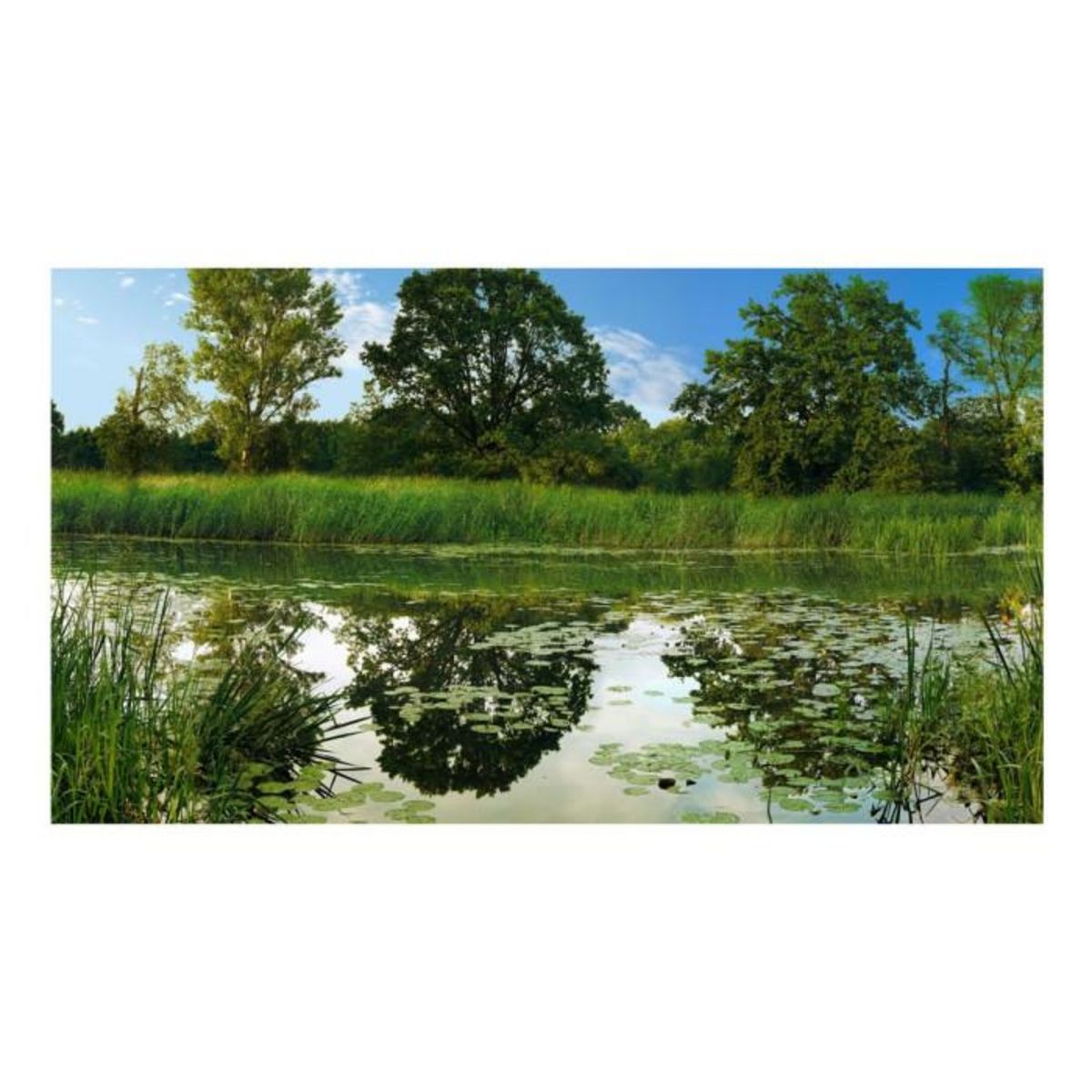 Paris Prix Papier Peint XXL  the Magic Pond