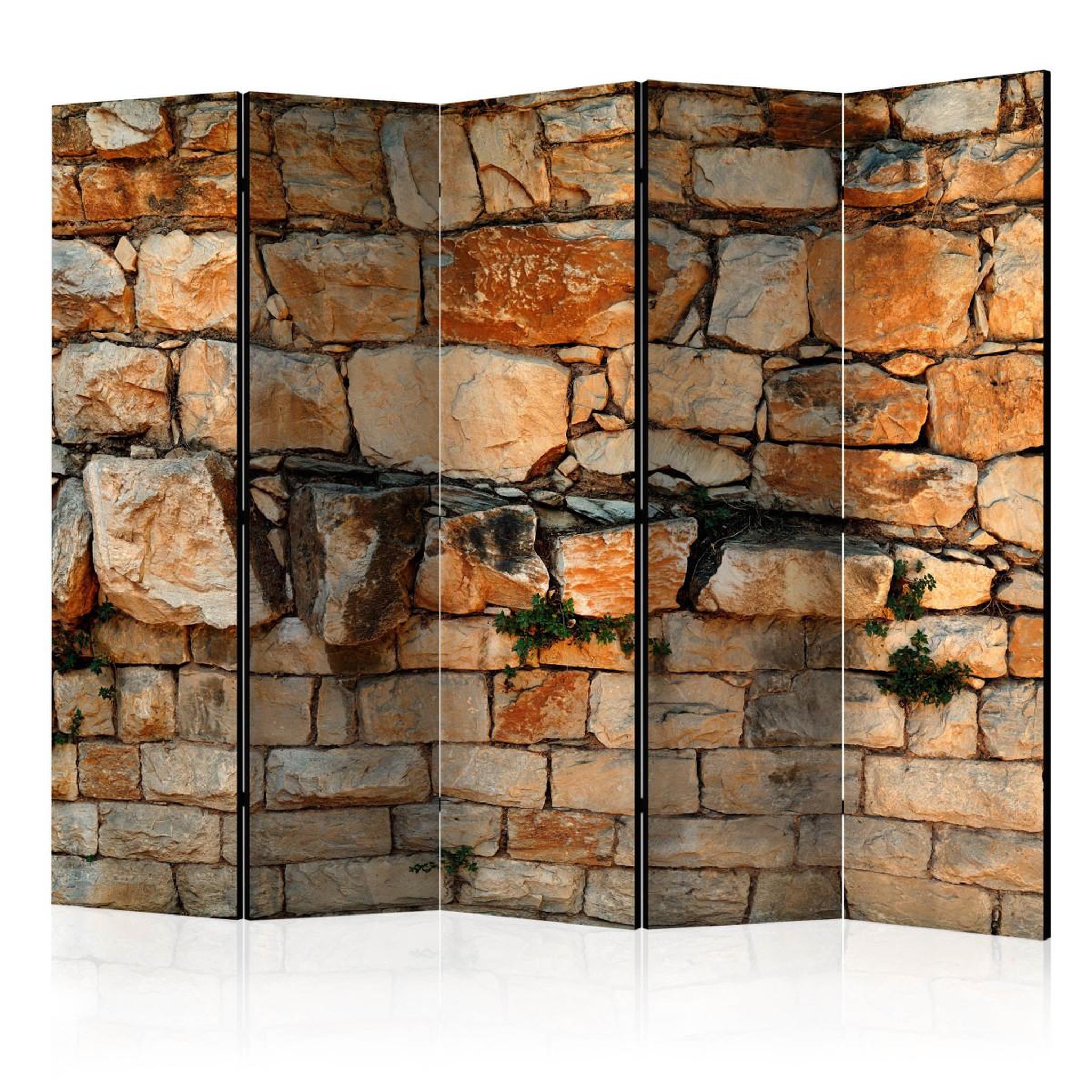 Paris Prix Paravent 5 volets  prelude of the day  172x225cm
