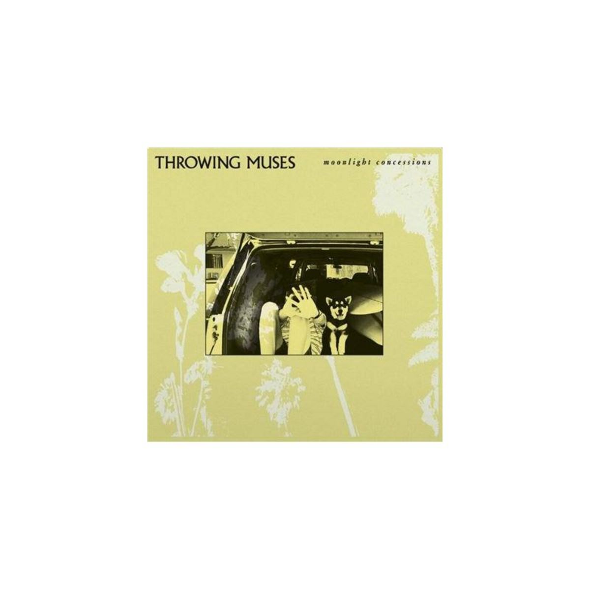 Moonlight Concessions