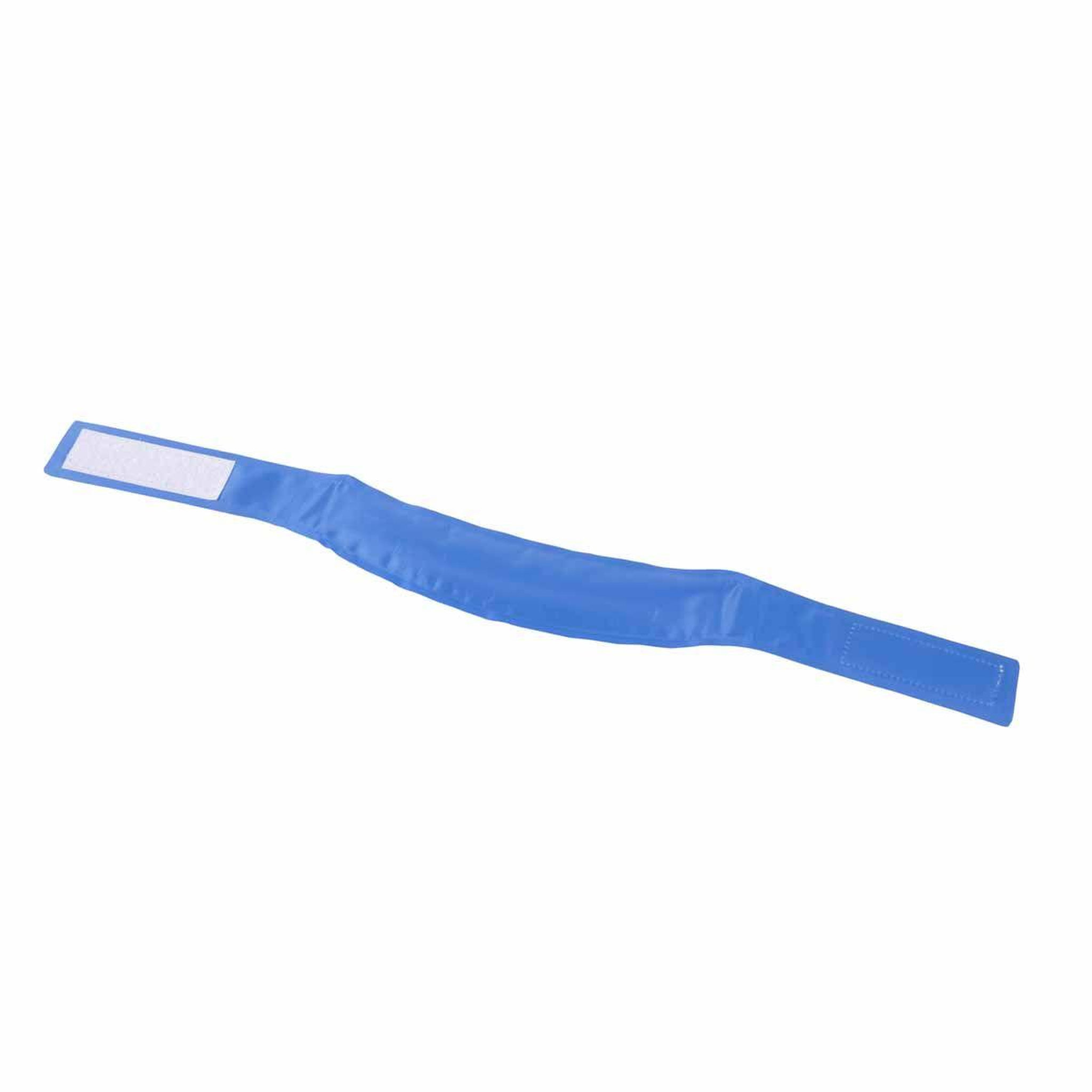 Voir la diapositive 2 : HOMEA Collier pour chien  rafraîchissant  63cm bleu
