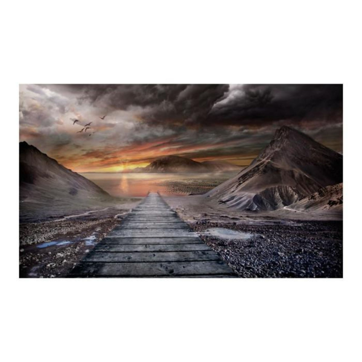 Paris Prix Papier Peint  Lieu Abandonné II  270x450cm