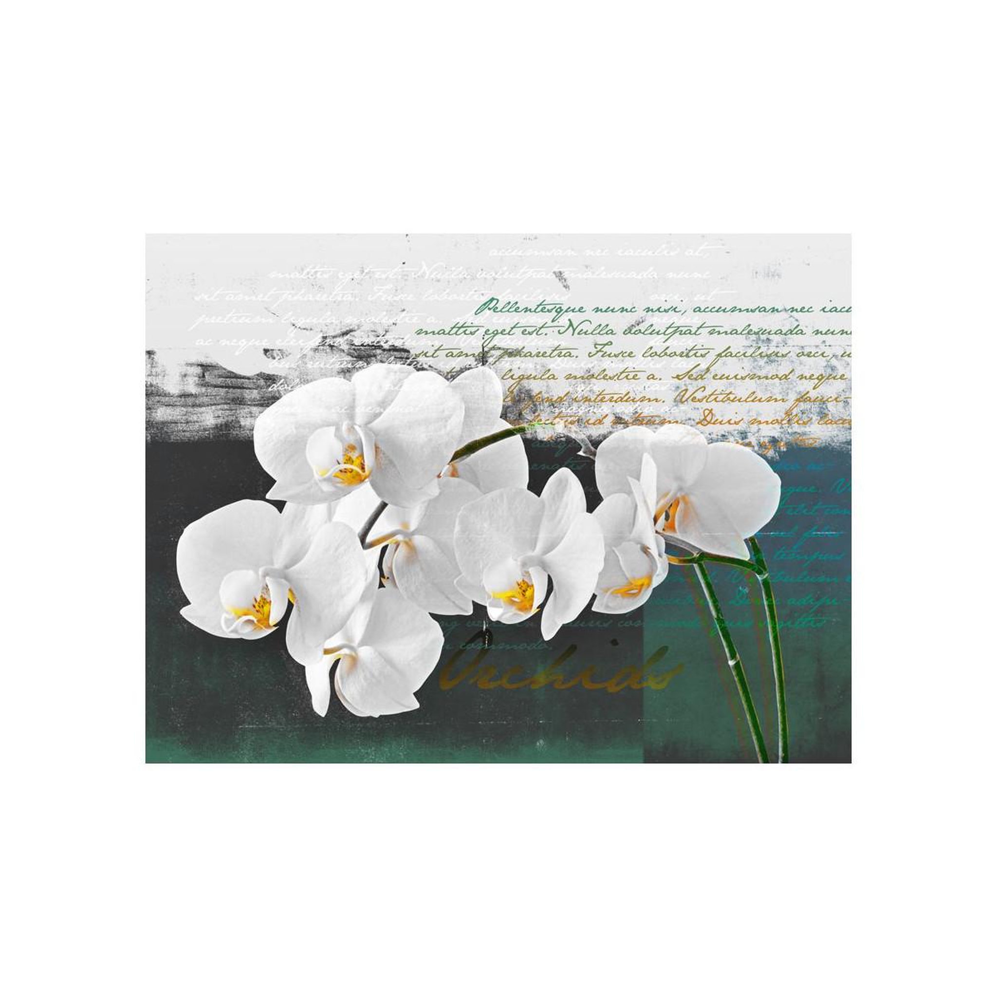 Voir la diapositive 2 : Paris Prix Papier peint  orchidées inspiration du poète