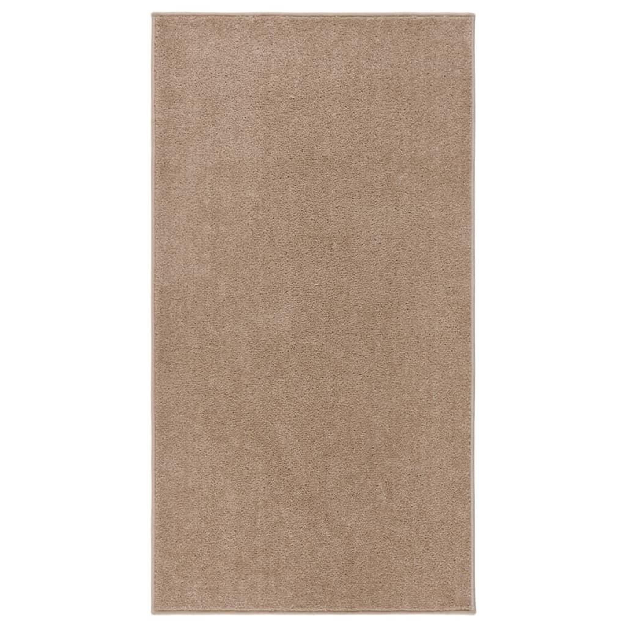 Voir la diapositive 1 : VIDAXL Tapis a poils courts 80x150 cm Marron