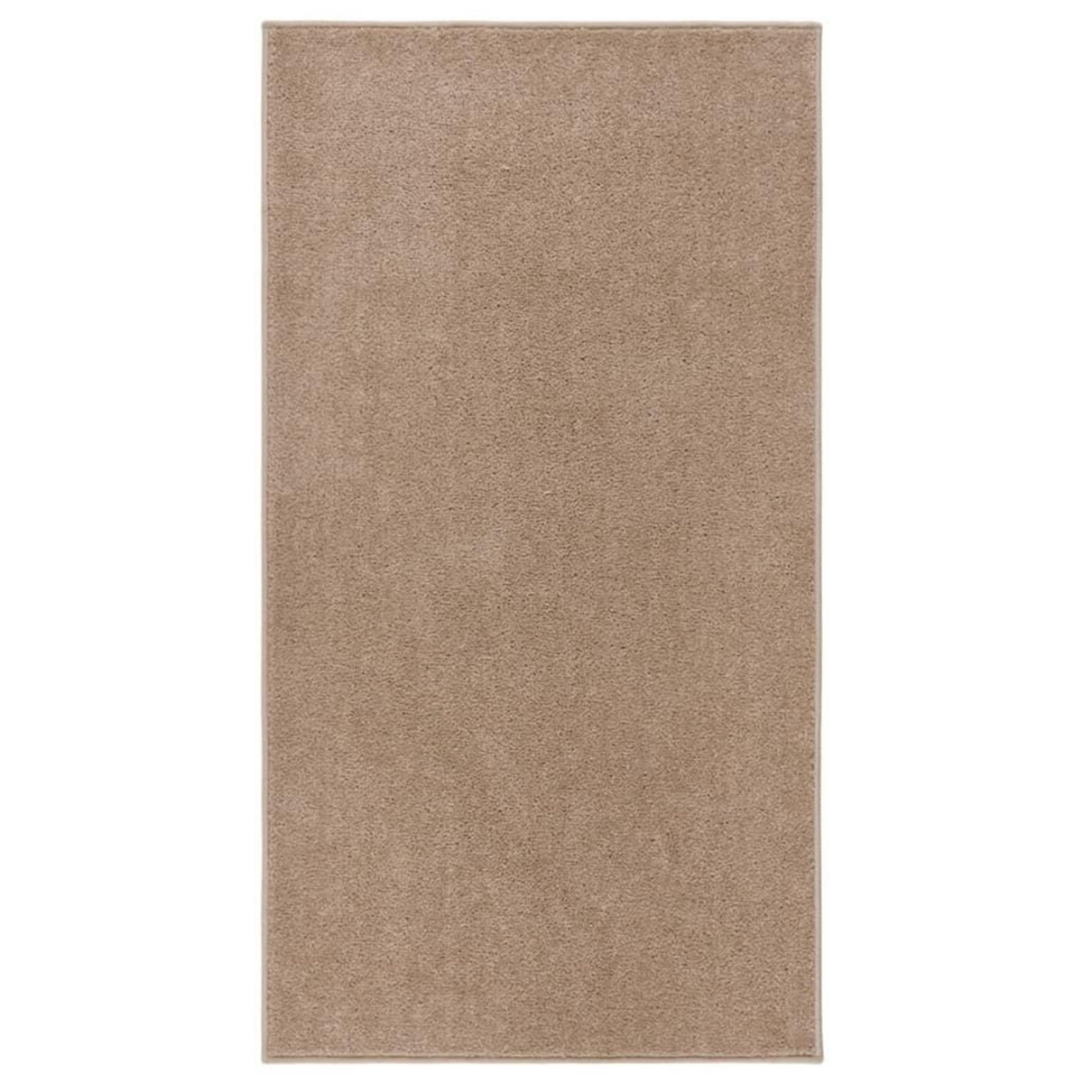 VIDAXL Tapis a poils courts 80x150 cm Marron