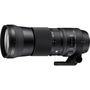 Voir la diapositive 2 : Sigma Objectif pour Reflex 150-600mm f/5-6.3 DG OS HSM Nikon