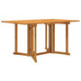 Voir la diapositive 1 : VIDAXL Table de jardin papillon pliante 150x90x75 cm bois massif teck