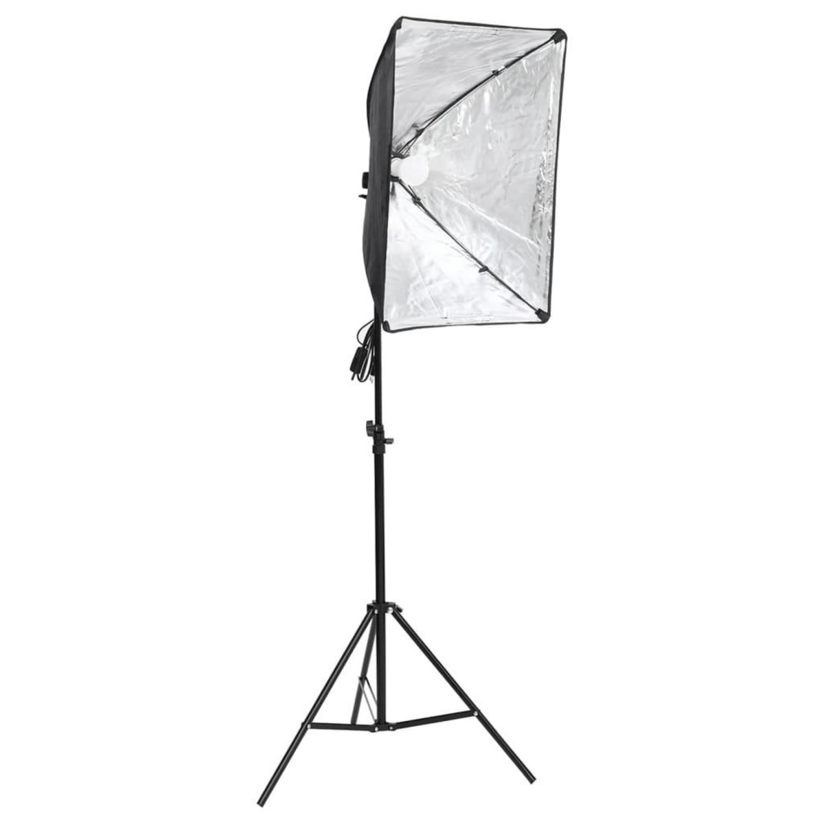 VIDAXL Kit de studio photo avec boîte a lumiere et toile de fond