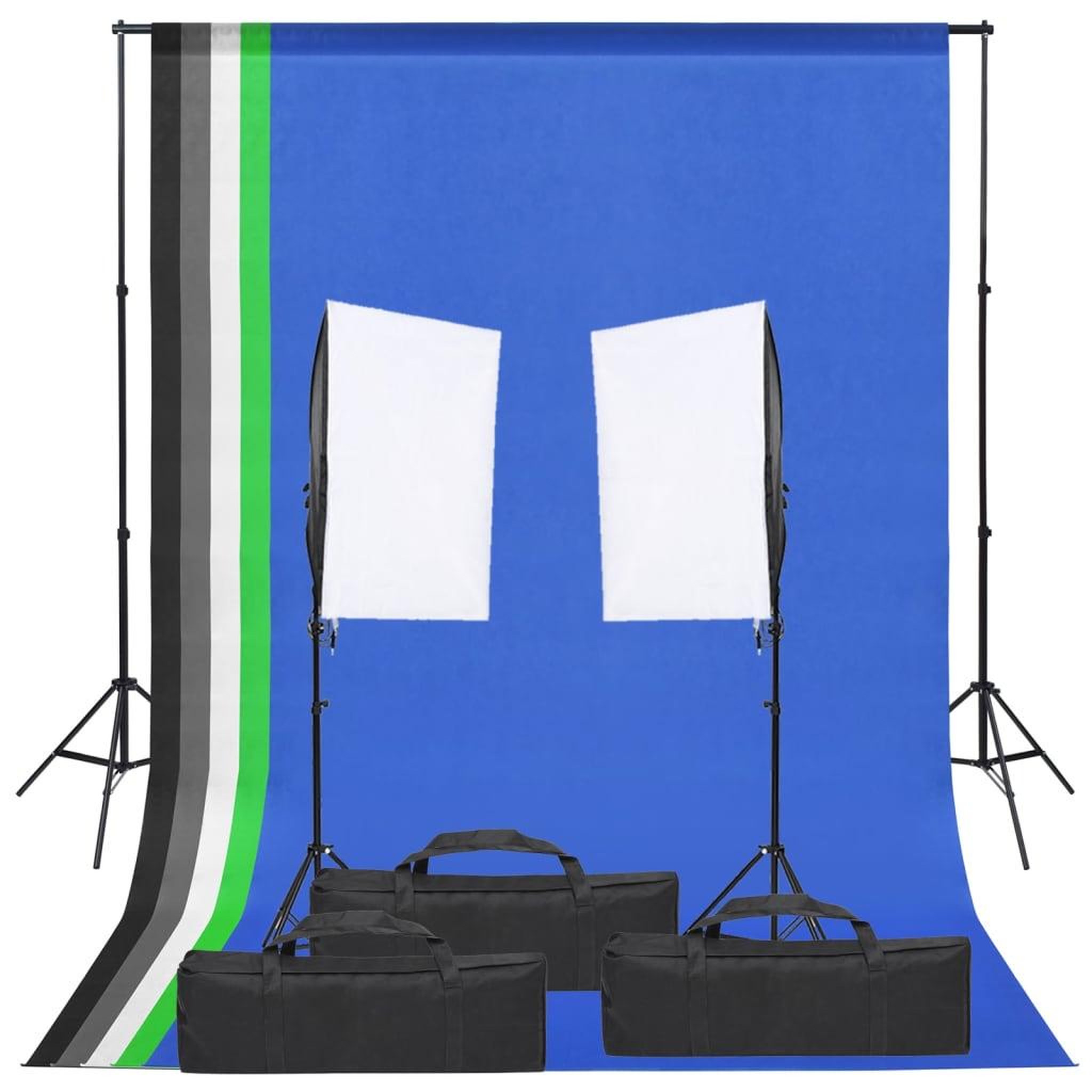 VIDAXL Kit de studio photo avec eclairage et toile de fond