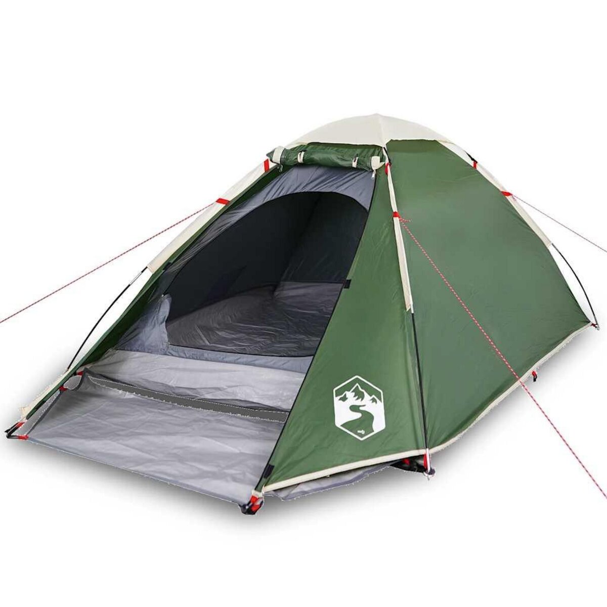 VIDAXL Tente de camping a dome 2 personne vert impermeable