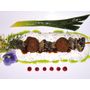Voir la diapositive 3 : Smartbox Adresses primées : menu 7 plats au restaurant Mon Plaisir près de Montbéliard - Coffret Cadeau Gastronomie