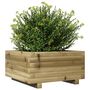 Voir la diapositive 4 : VIDAXL Jardiniere 50x50x26,5 cm bois de pin impregne