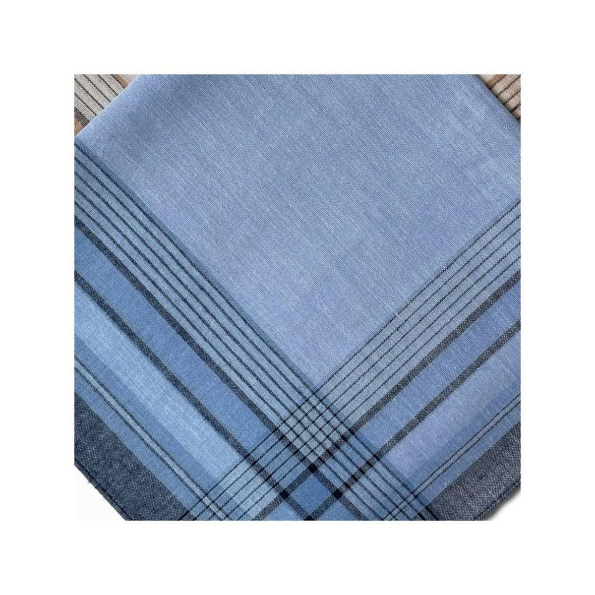 VANDERSICKEL Lot de 12 mouchoirs Homme MATHIEU 40x40cm 100% coton