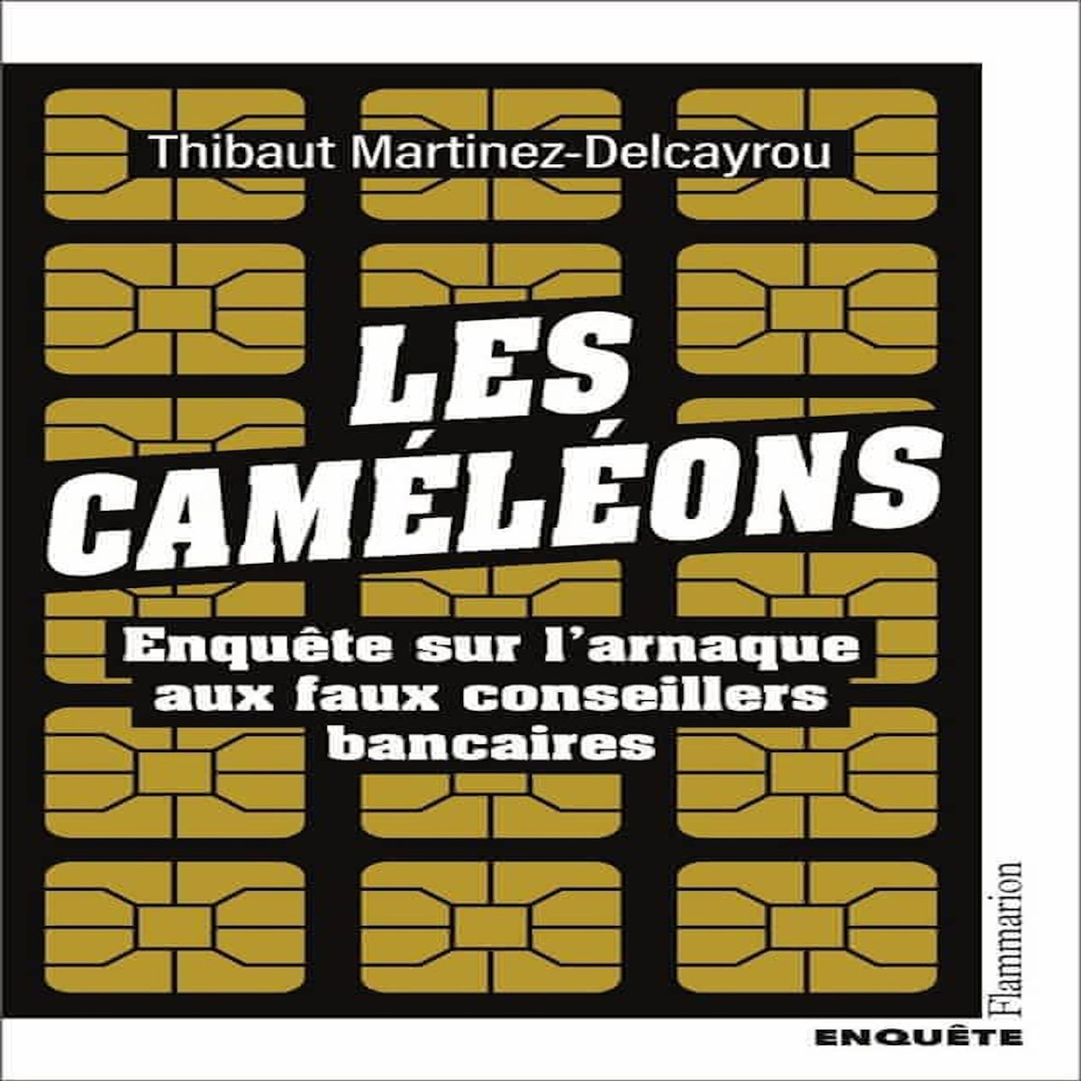 LES CAMELEONS. ENQUETE SUR L'ARNAQUE AUX FAUX CONSEILLERS BANCAIRES, Martinez-Delcayrou Thibaut
