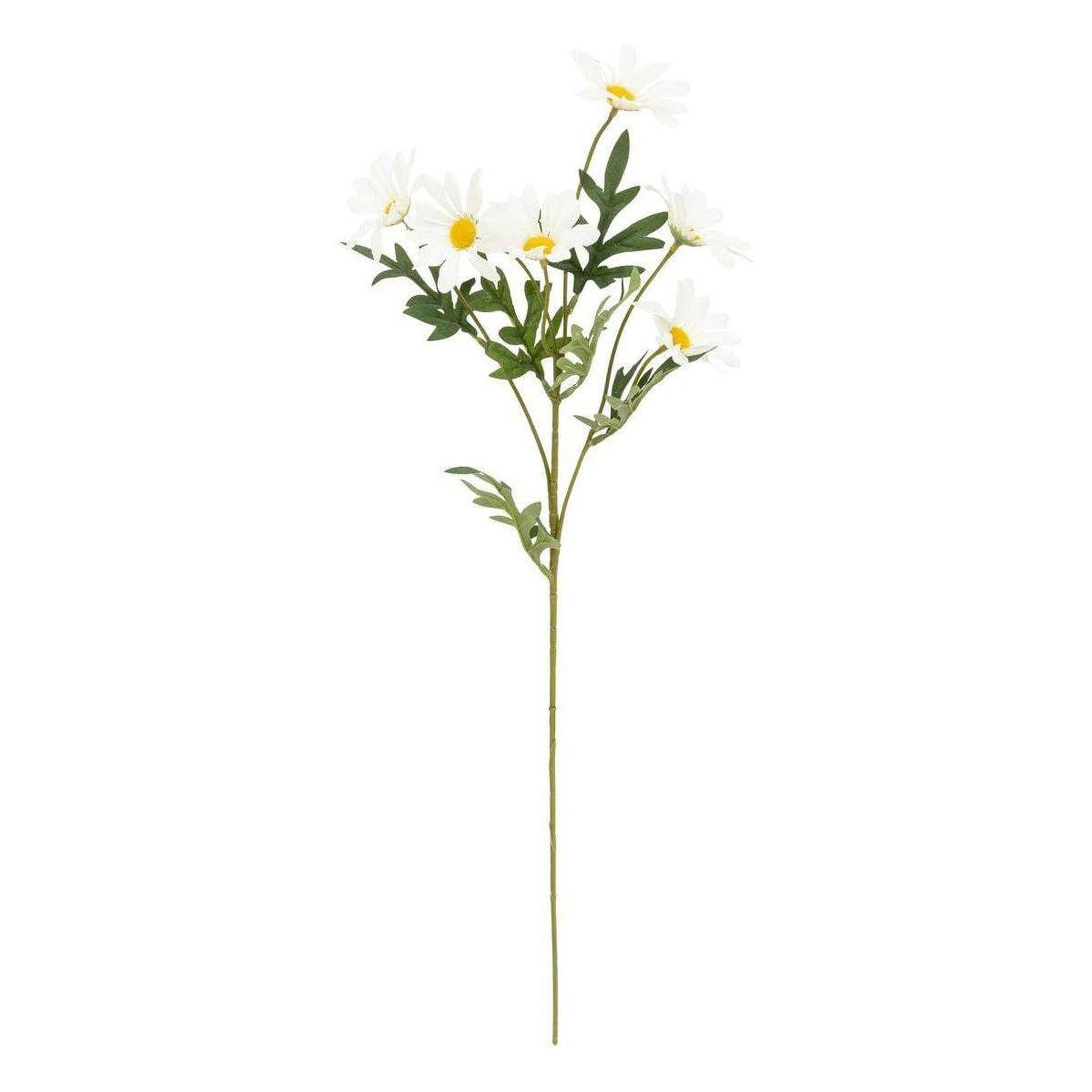 ATMOSPHERA Tige artificielle  marguerite  60cm multicolore