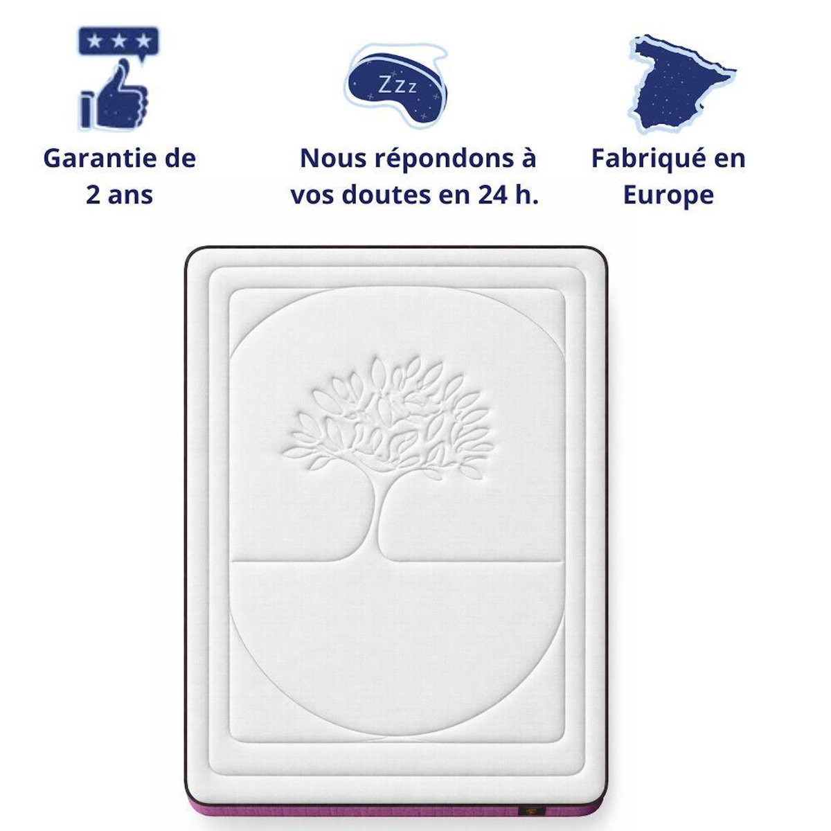 DAGOSTINO HOME Matelas 90x190 Accueil mémoire de forme  Life Tree  - Ferme - Réversible - H30 Cm