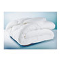 Voir la diapositive 1 : GENERIQUE Couette 350g Anti-Acariens 220x240cm