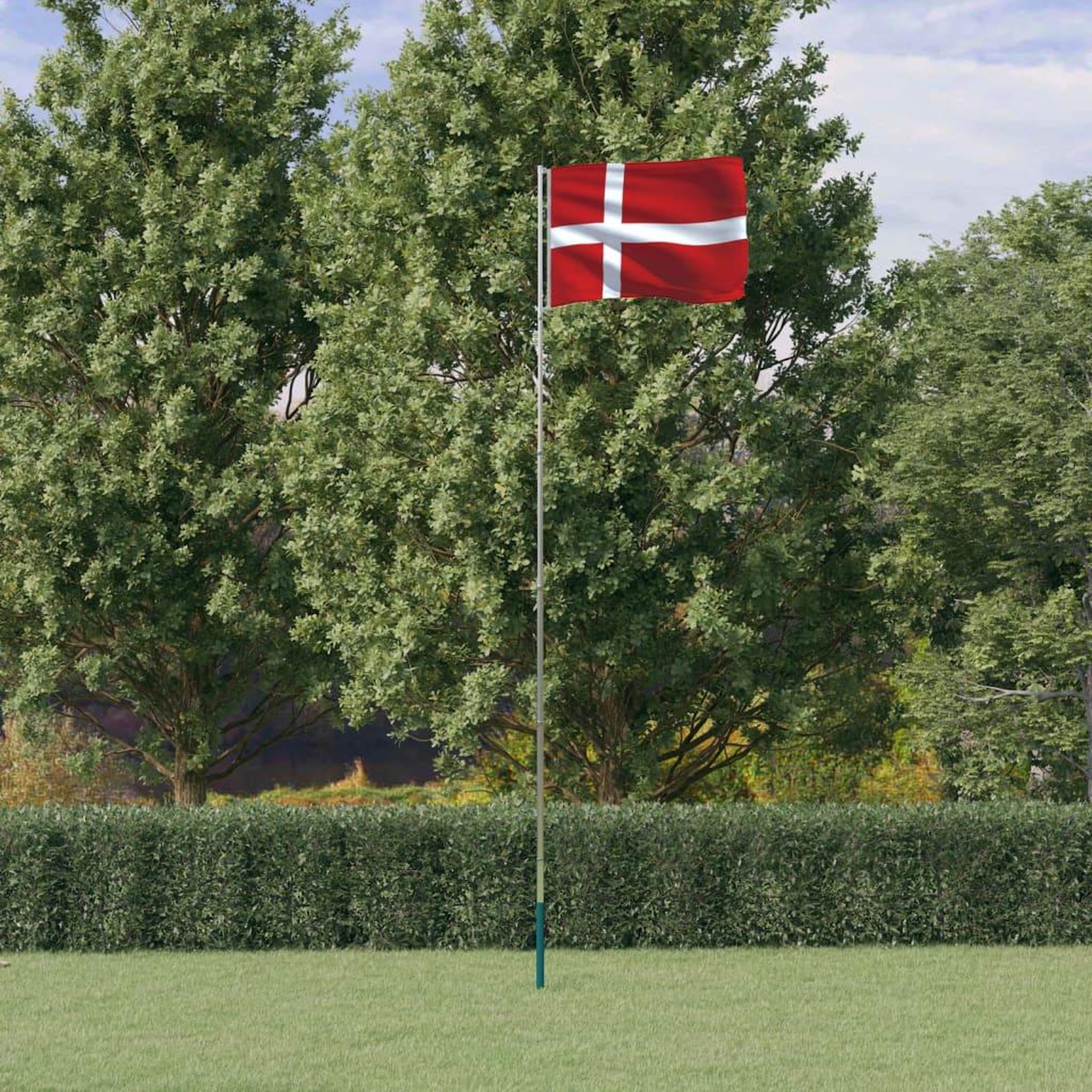 Voir la diapositive 1 : VIDAXL Drapeau du Danemark et mat 5,55 m Aluminium