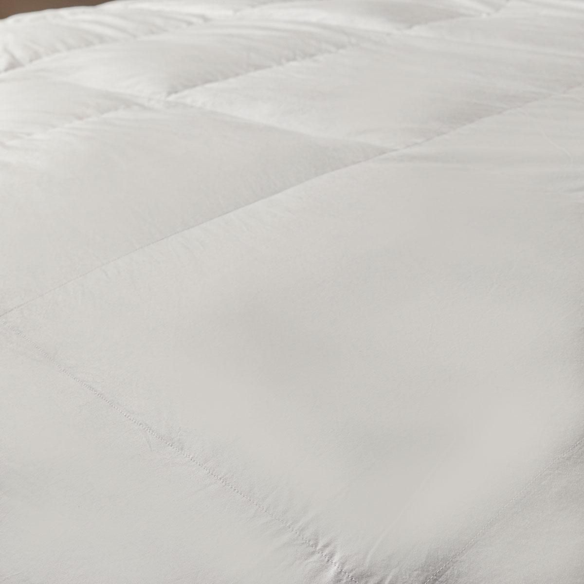 DUNLOPILLO Couette Natur' Protect - 70% Duvet - Chaude