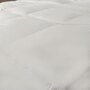 Voir la diapositive 3 : DUNLOPILLO Couette Natur' Protect - 70% Duvet - Chaude