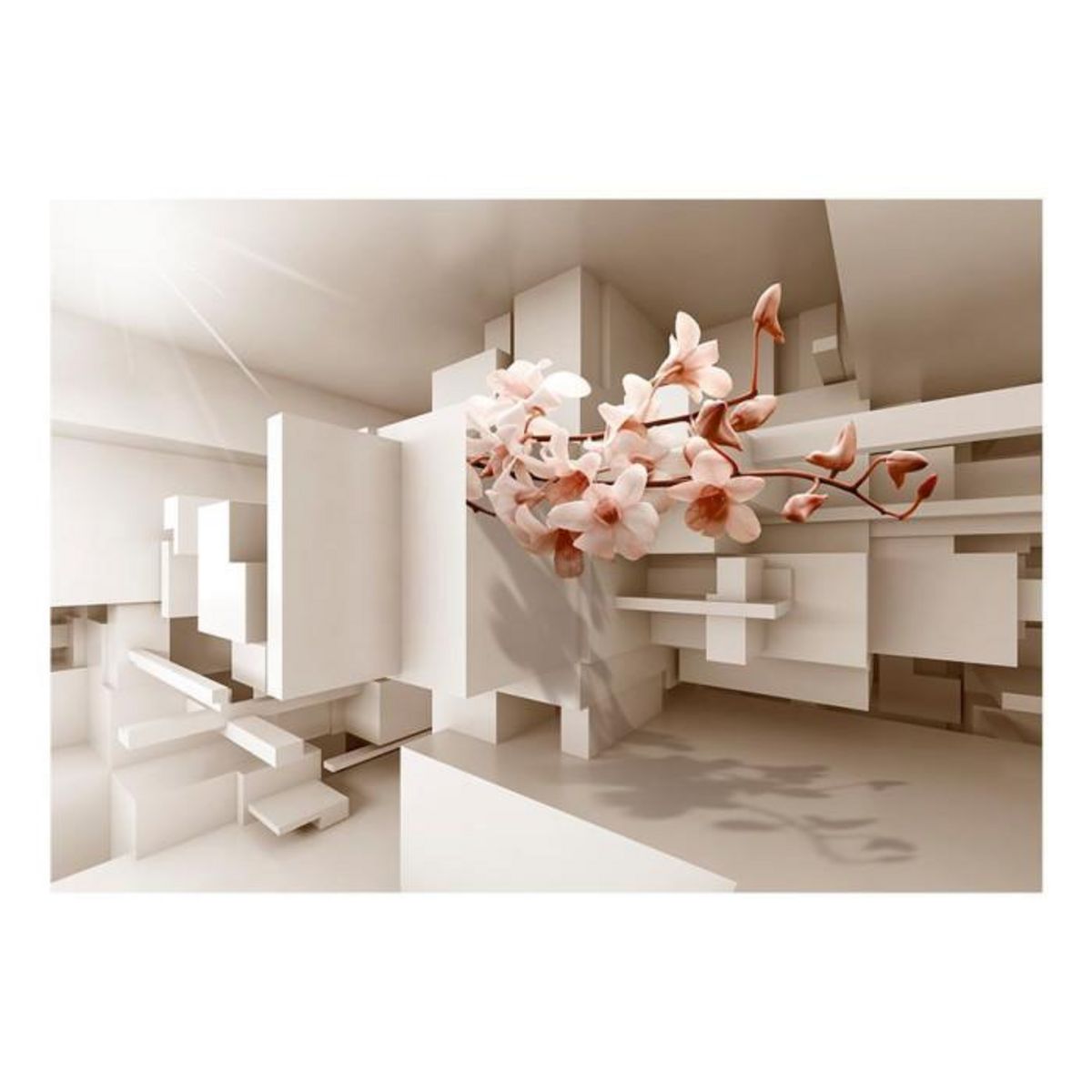 Paris Prix Papier Peint  Urban Botany