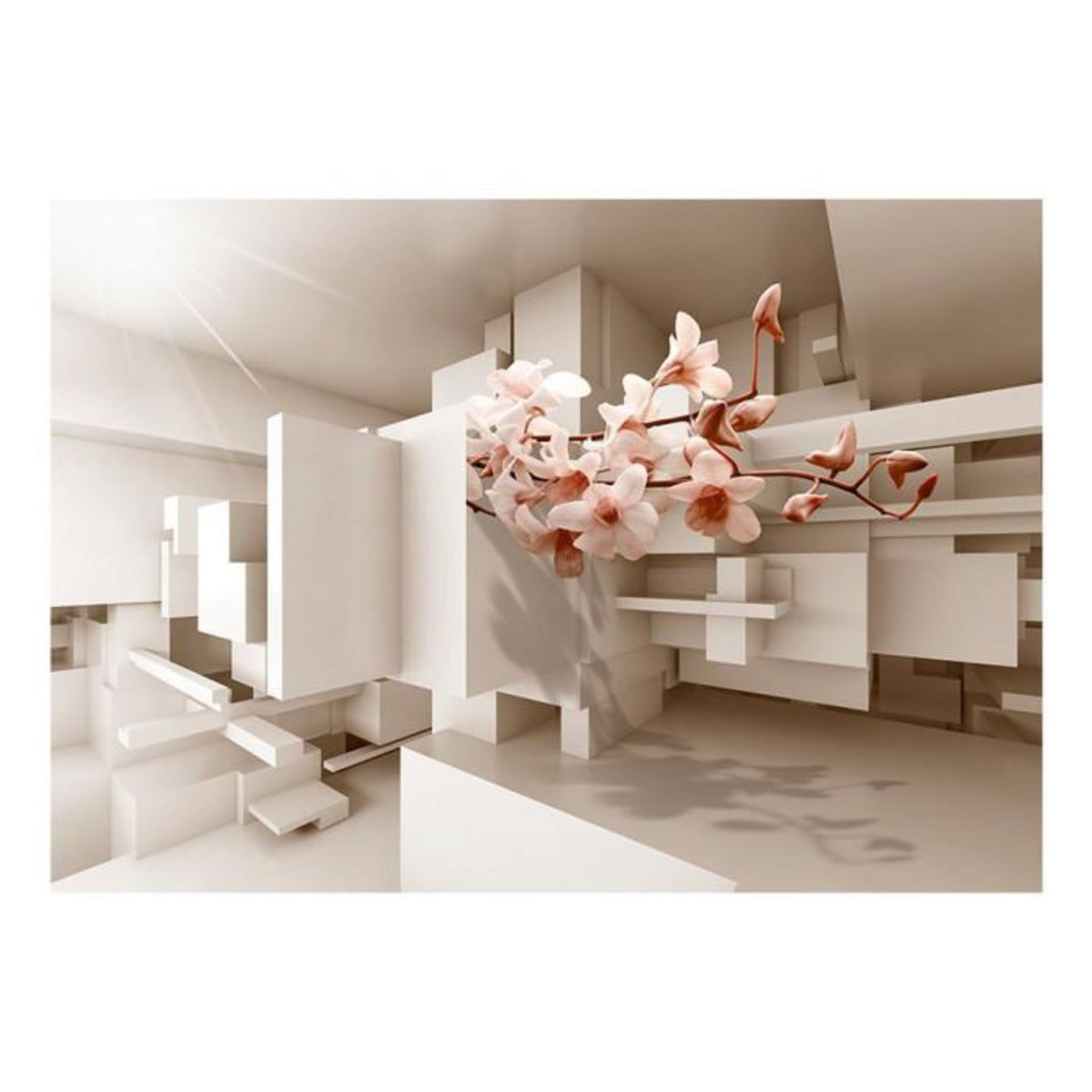 Paris Prix Papier Peint  Urban Botany