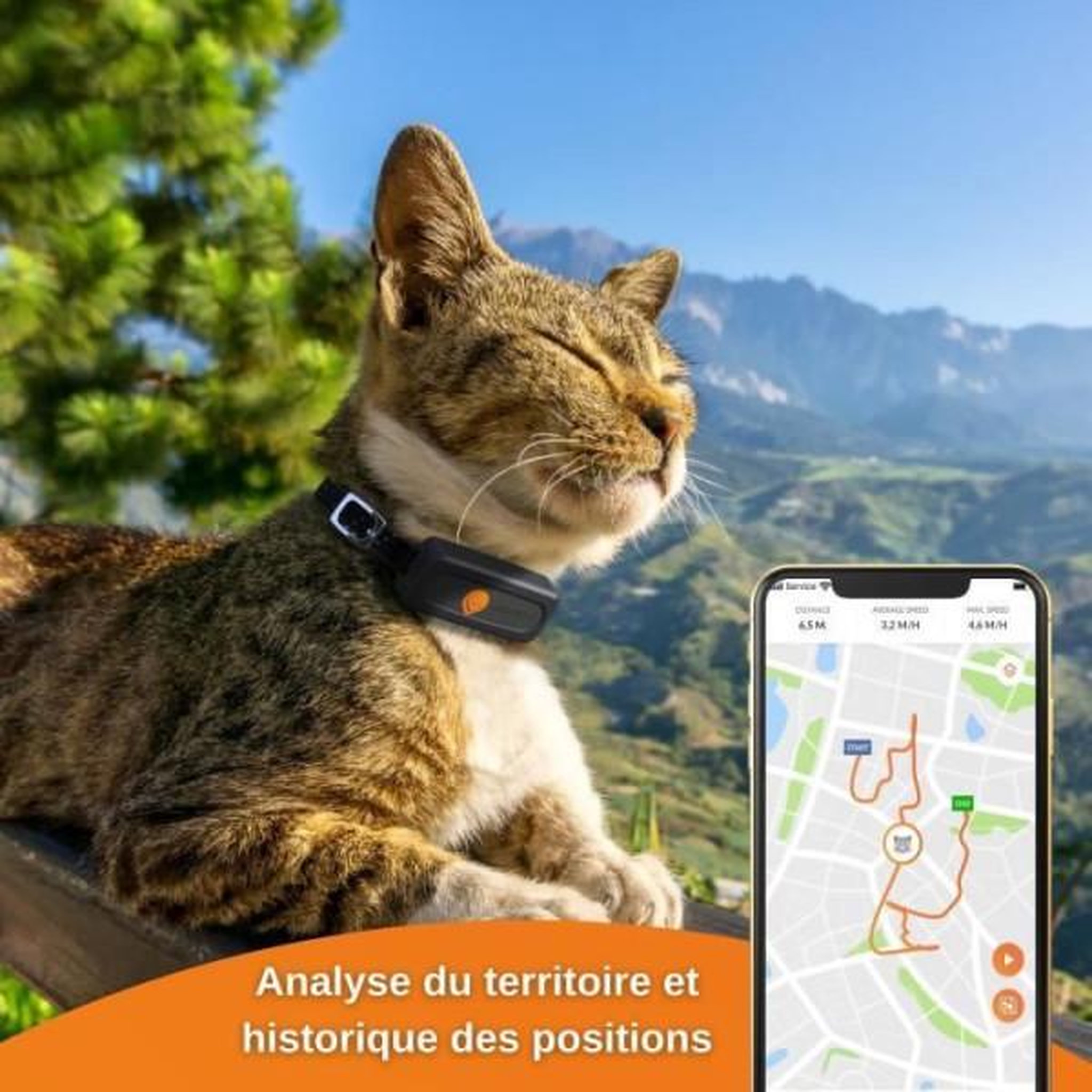 Voir la diapositive 5 : WEENECT Traceur GPS pour Chat - Weenect XS (Black Edition 2023)