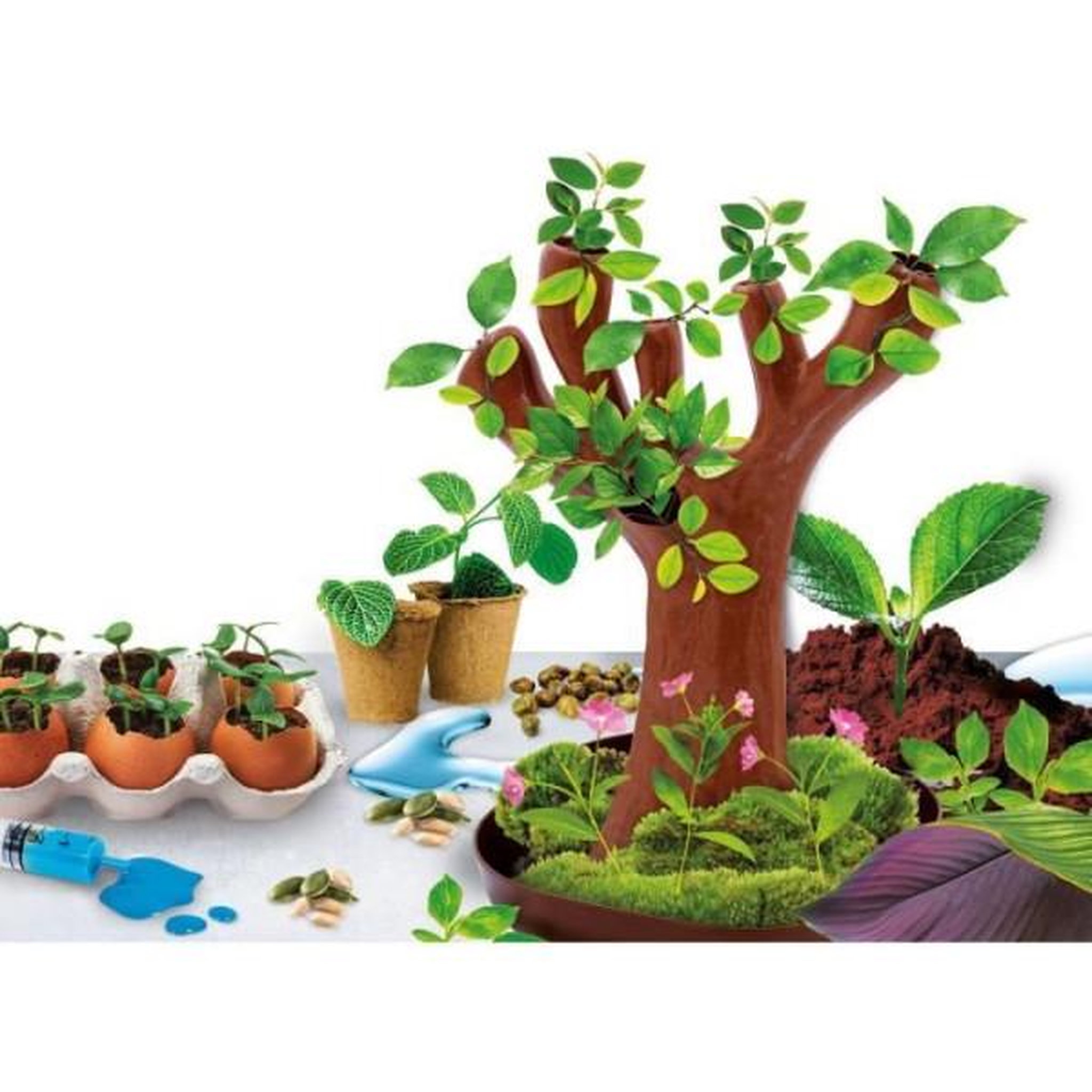 Voir la diapositive 2 : LISCIANI GIOCHI Génius Science - jeu scientifique - la botanique - LISCIANI