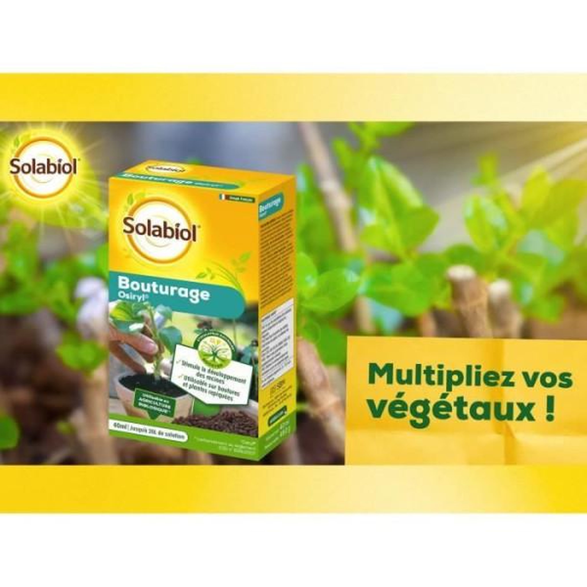 Voir la diapositive 3 : SOLABIOL SOLABIOL SOBOUTU40 Bouturage Osiryl - 40 ml